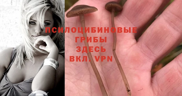 мескалин Алзамай