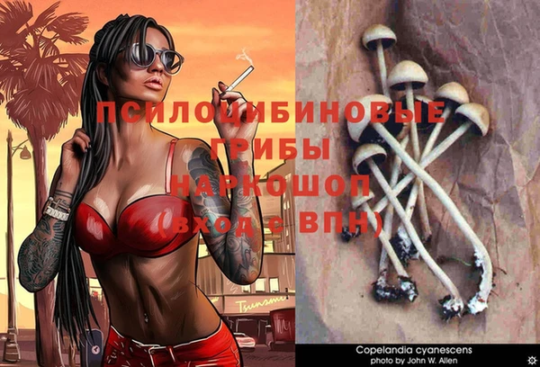 ALPHA PVP Алексеевка